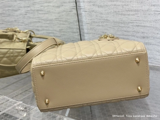 Tony Luxuries Gold Calfskin-24cm diro large Lady 0729